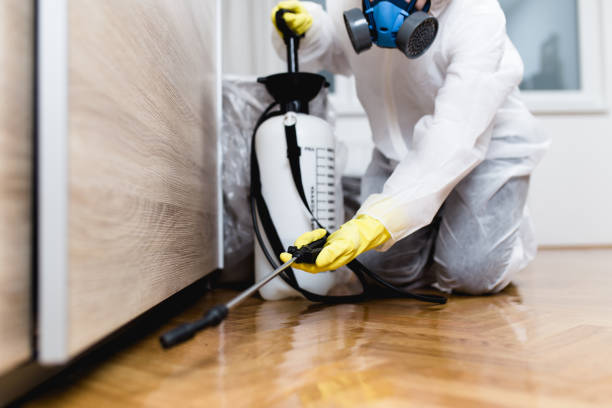 Best Flea Control Services  in Cowarts, AL