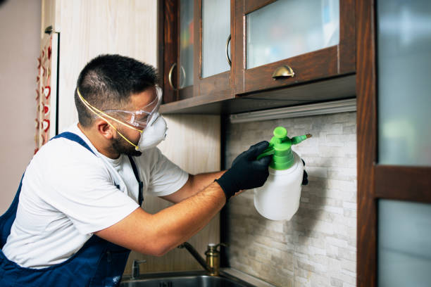 Best Pest Inspection Near Me  in Cowarts, AL