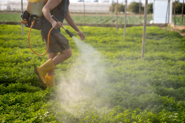 Best Exterminator Services  in Cowarts, AL