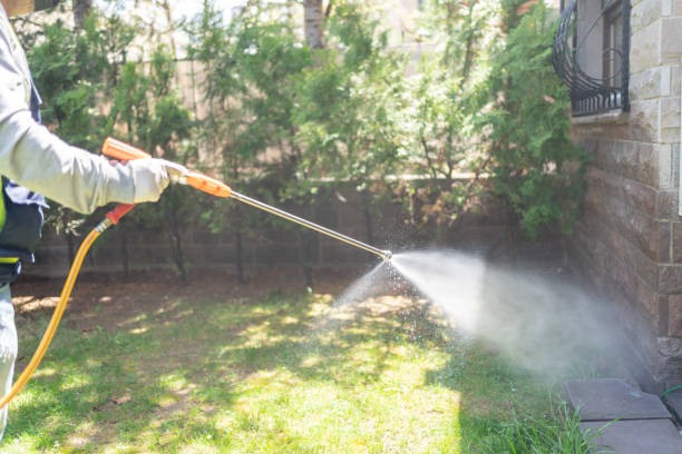 Best Insect Control  in Cowarts, AL