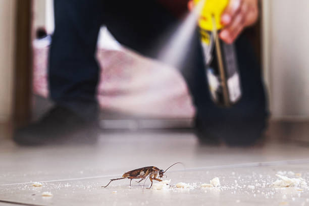 Best Termite Control Services  in Cowarts, AL