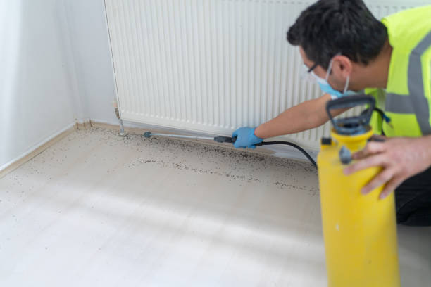 Best Bed Bug Extermination  in Cowarts, AL