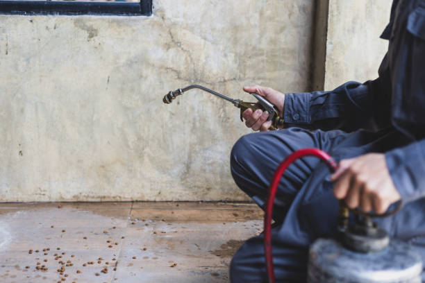 Best Pest Control for Businesses  in Cowarts, AL